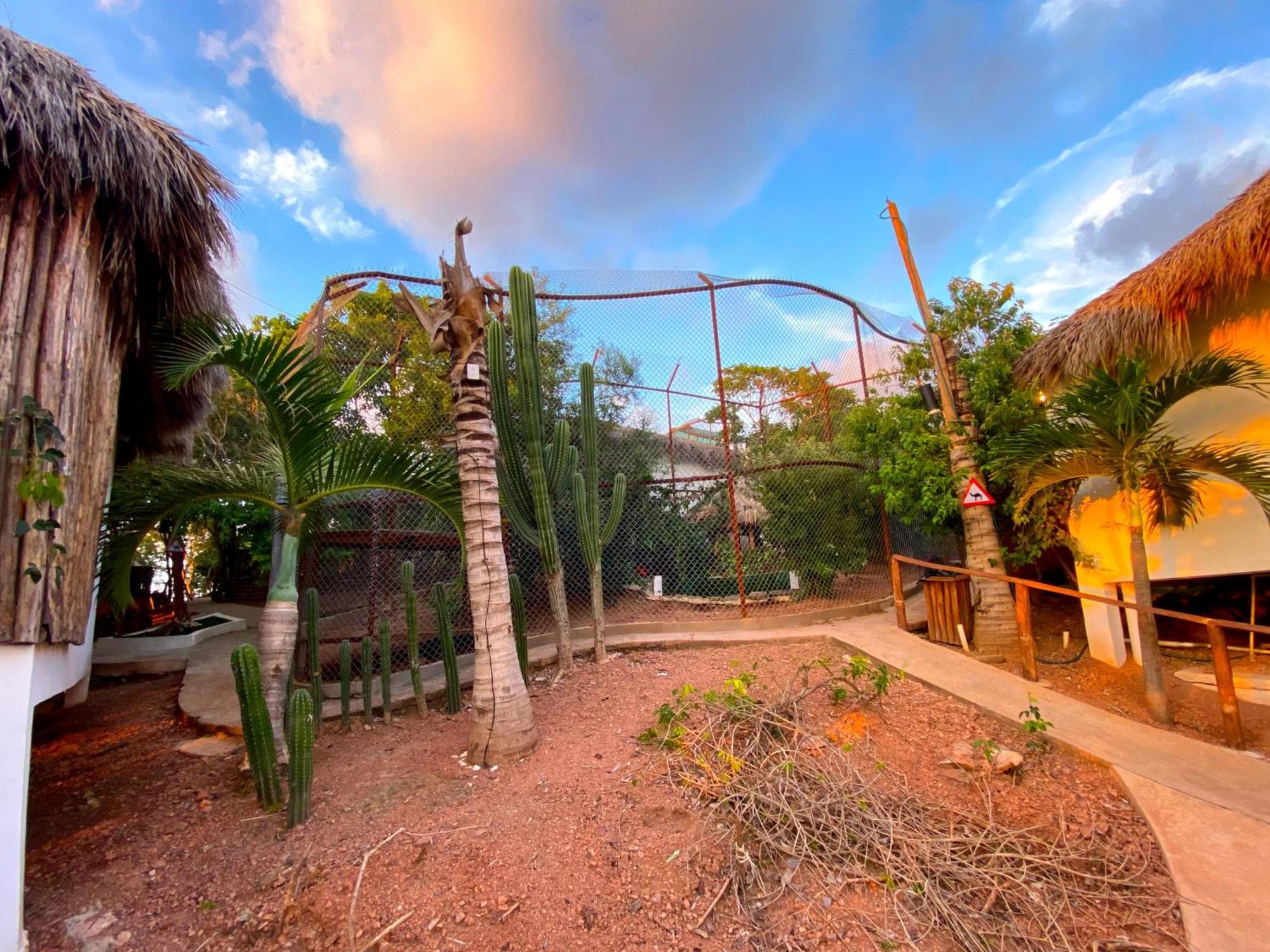 Palm Valley Cabins Mazatlan Exterior photo