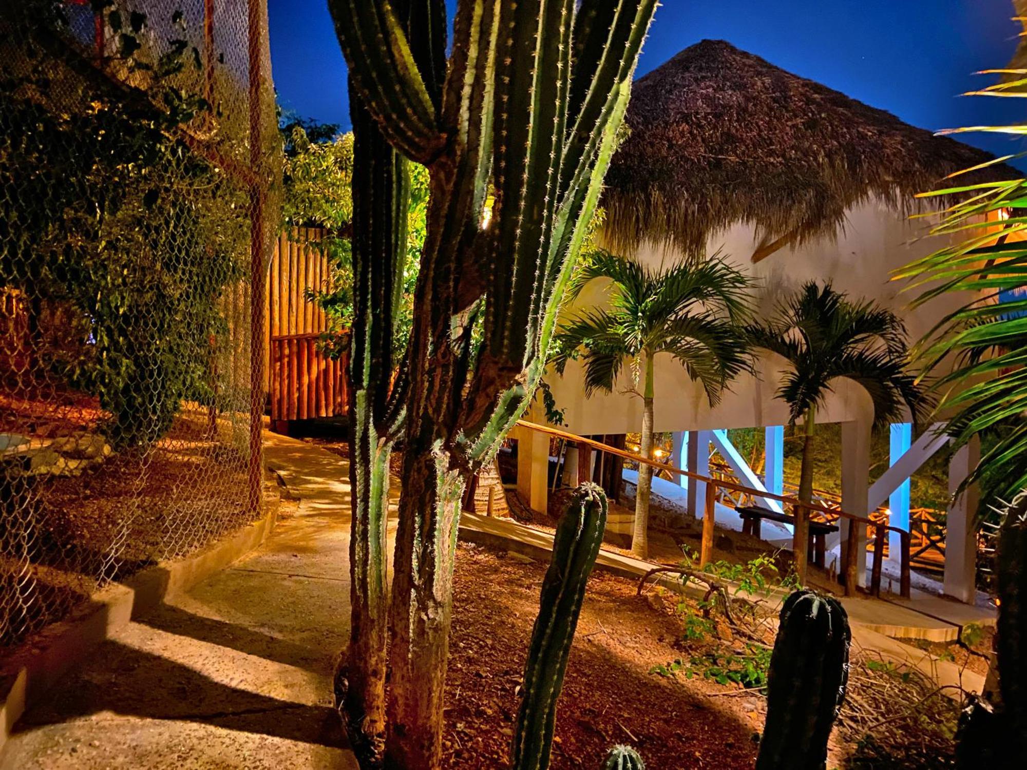 Palm Valley Cabins Mazatlan Exterior photo