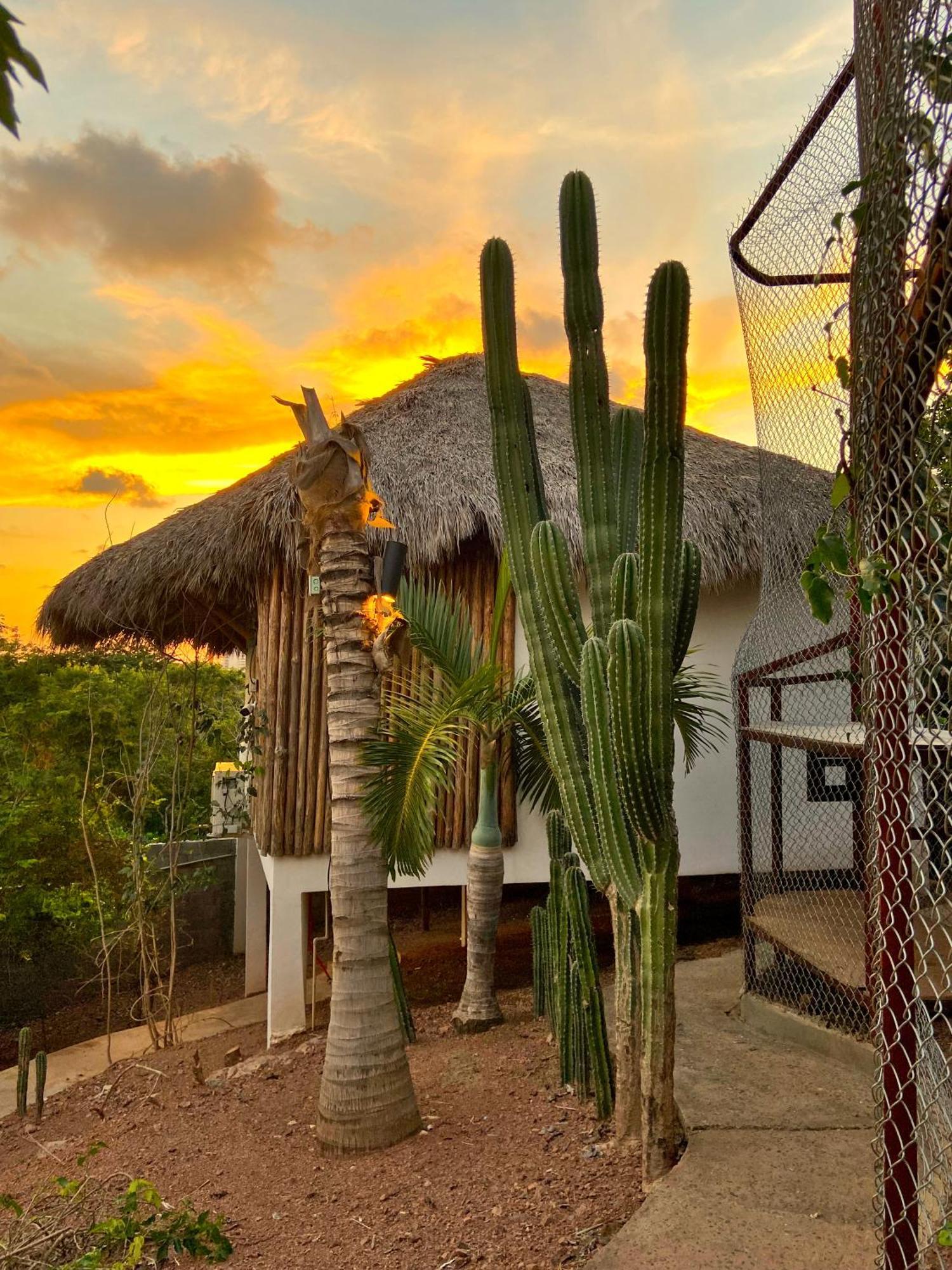 Palm Valley Cabins Mazatlan Exterior photo