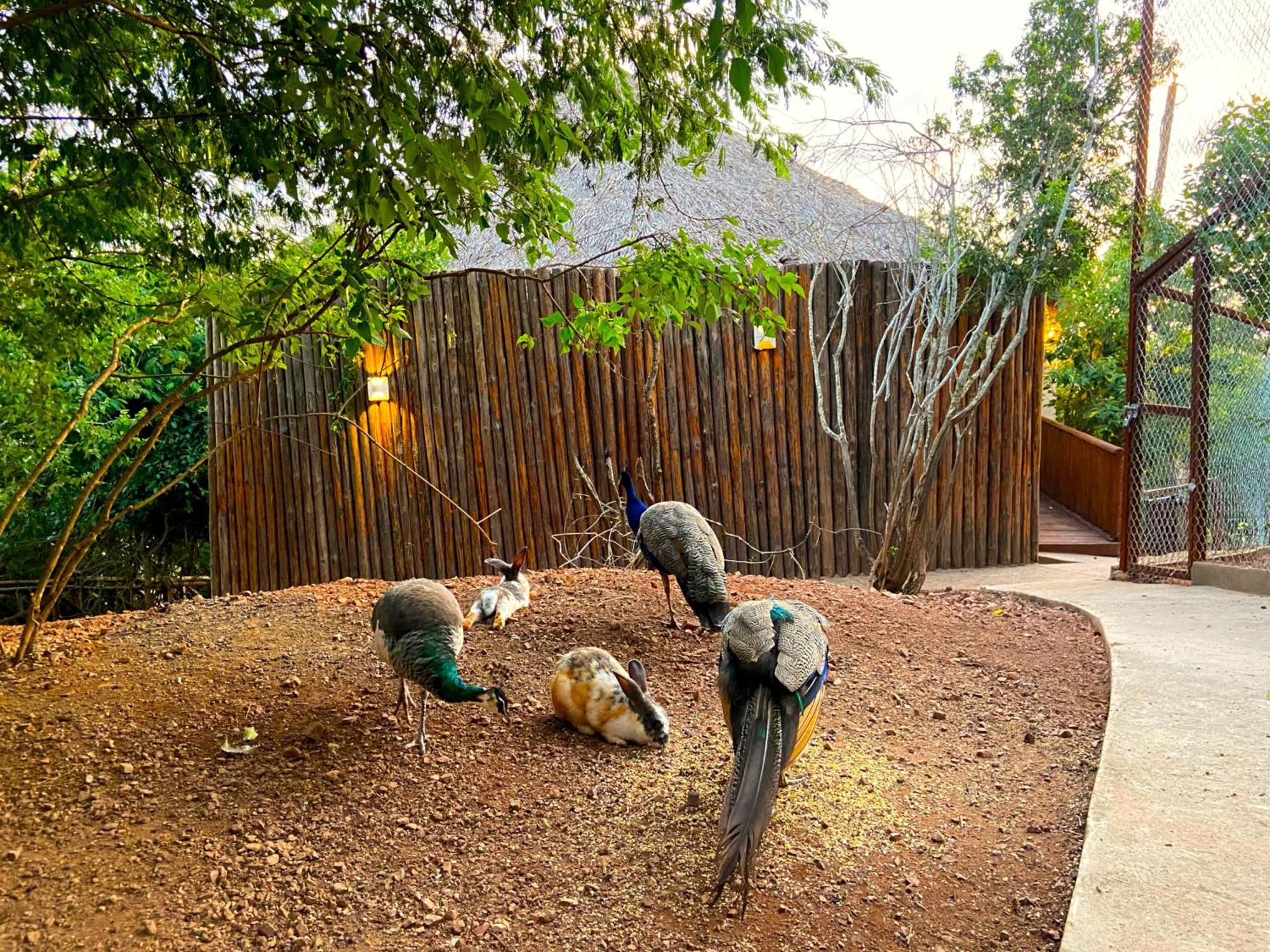 Palm Valley Cabins Mazatlan Exterior photo