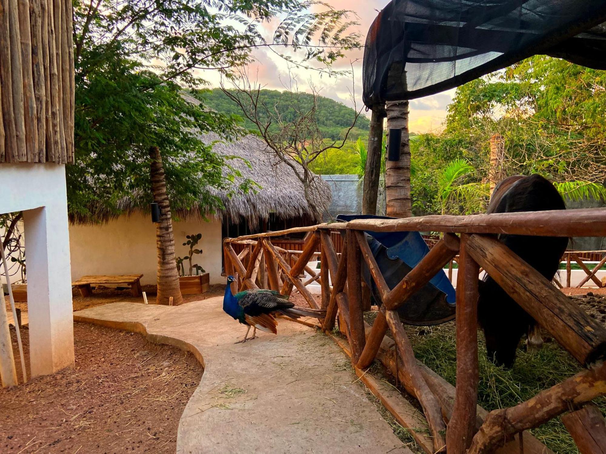 Palm Valley Cabins Mazatlan Exterior photo