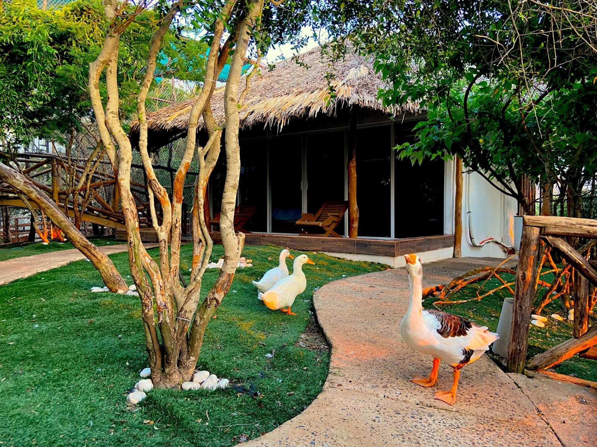 Palm Valley Cabins Mazatlan Exterior photo