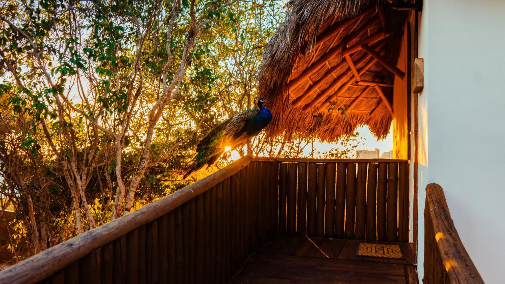 Palm Valley Cabins Mazatlan Exterior photo